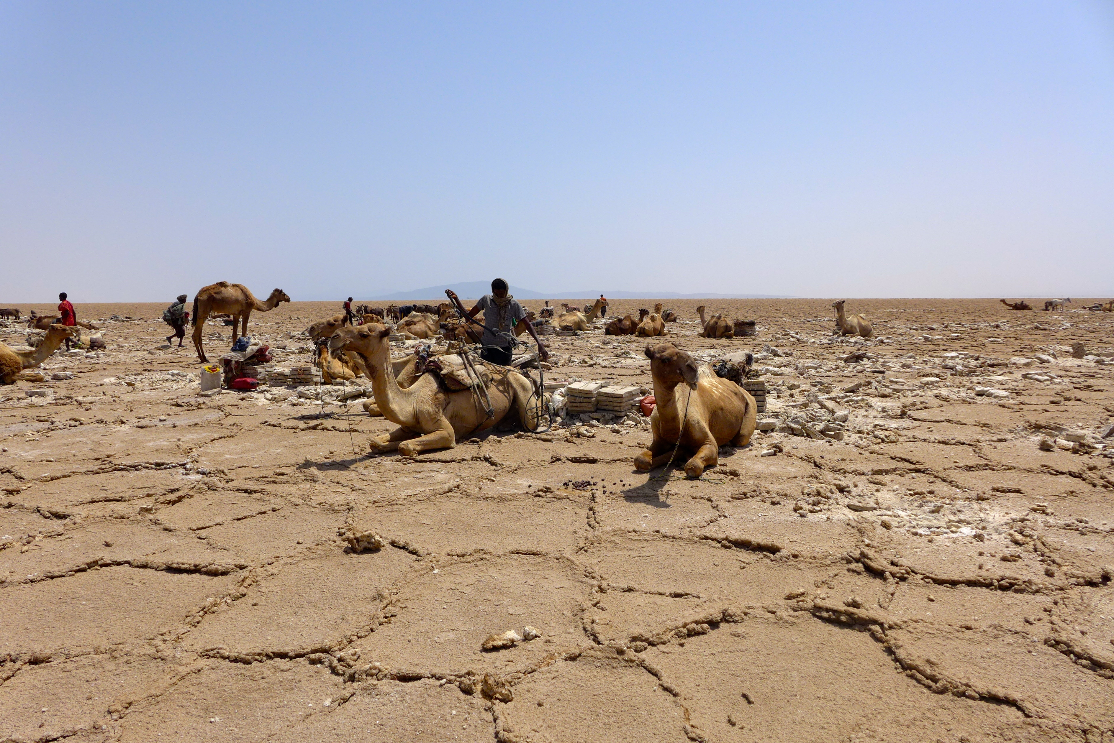 Afar desert